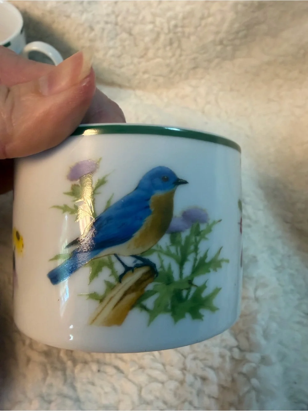 2 Vintage National Wildlife Federation “American Songbirds” Tea Cups. RARE